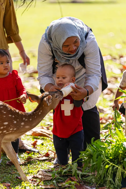Learning to Care Through Small Actions
