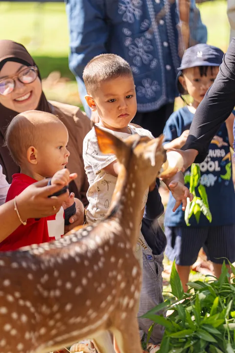 A New Friend at the Mini Zoo